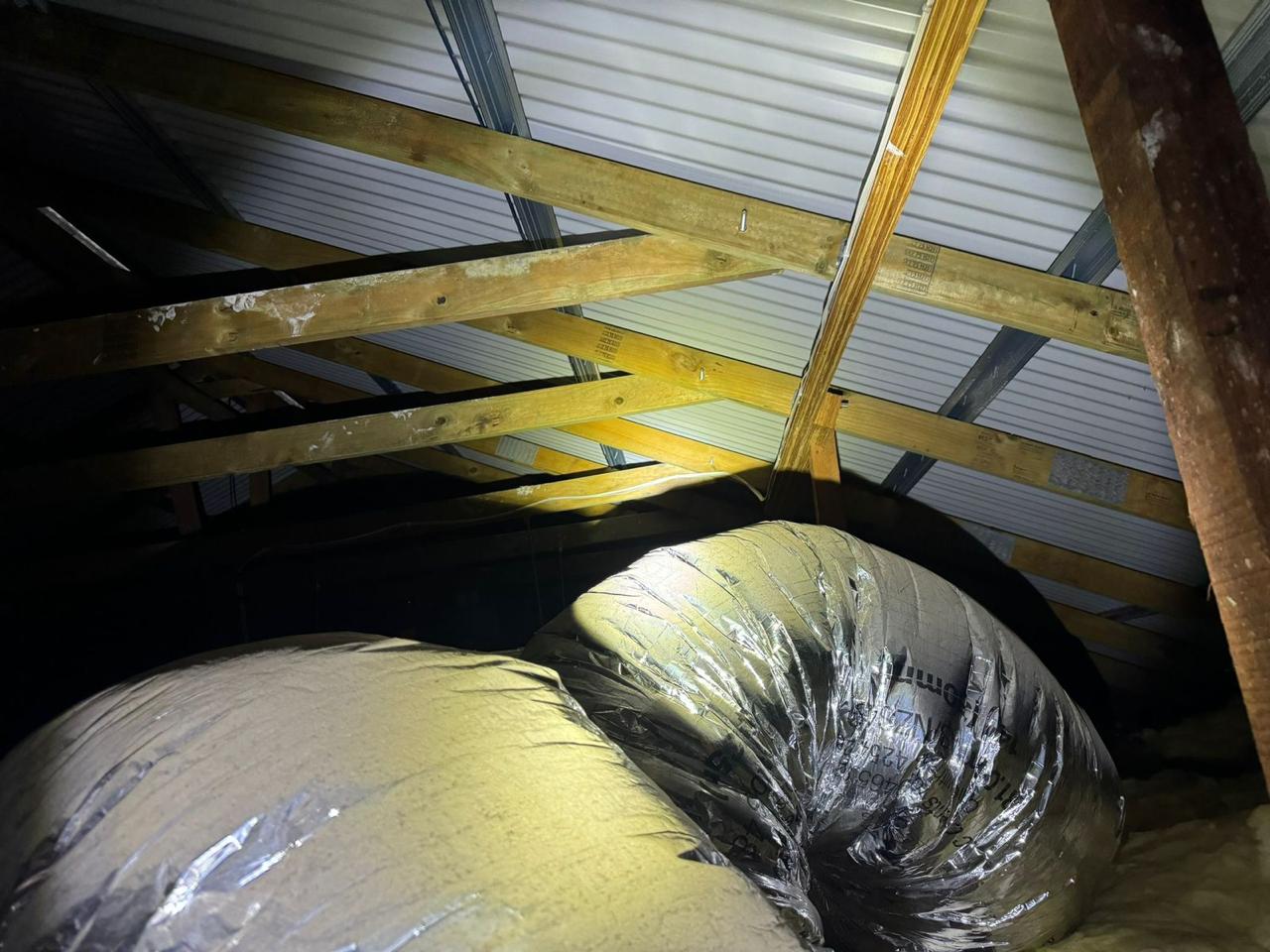 WhatsApp Image 2025-12-07 at 17.07.45_b3407457